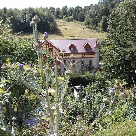 Zbojna Debra