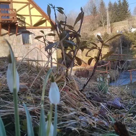 Zbójna Debra Bed and breakfast Golejów